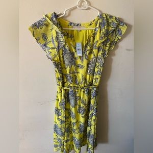 Ann Taylor loft dress